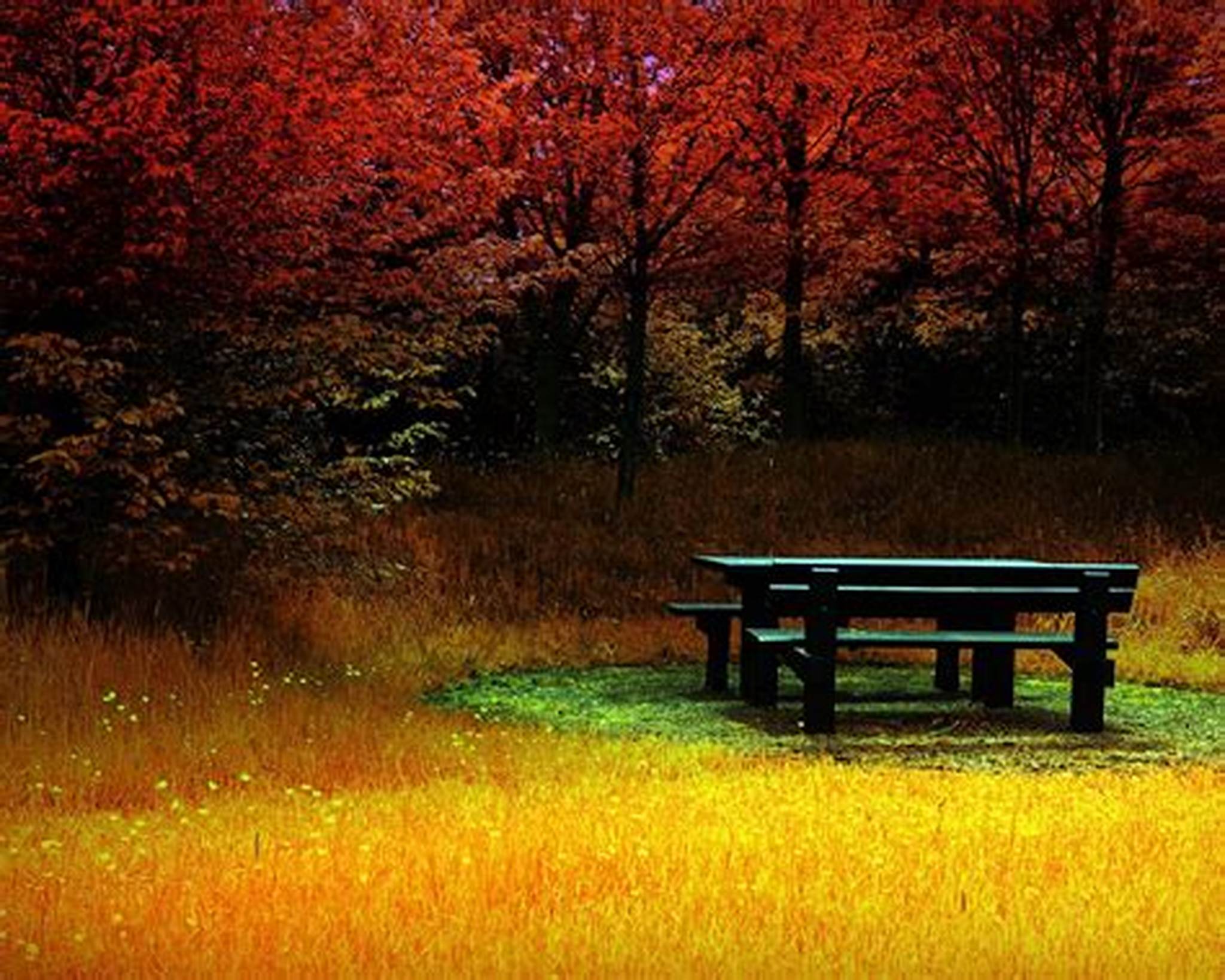 Background Pics Nature - HD Wallpaper 