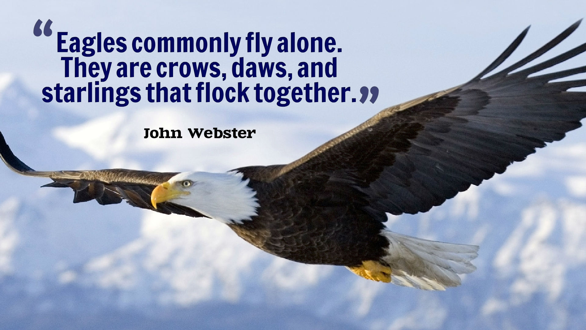 Alone Quotes High Definition Wallpaper - Eagle Fly Alone Quote - HD Wallpaper 