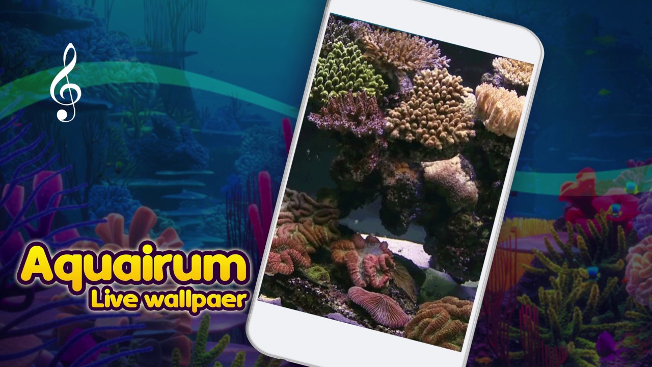 Coral Reef - HD Wallpaper 