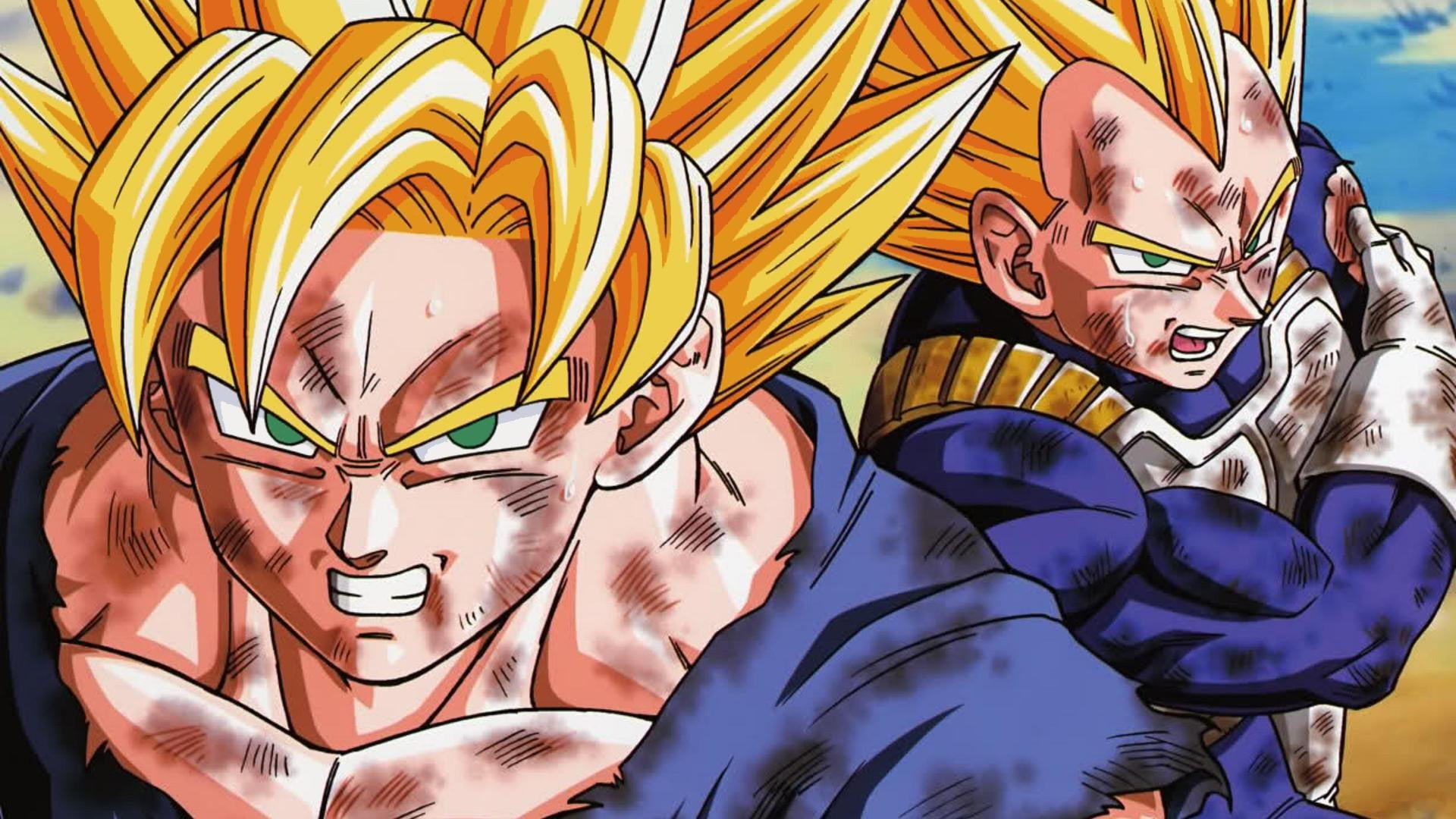 Son Goku And Vegeta - 1920x1080 Wallpaper - teahub.io