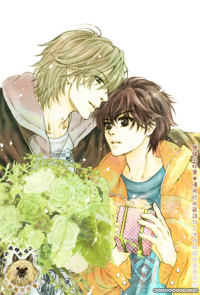 Kaidou Haru Super Lovers Ren And Haru - HD Wallpaper 