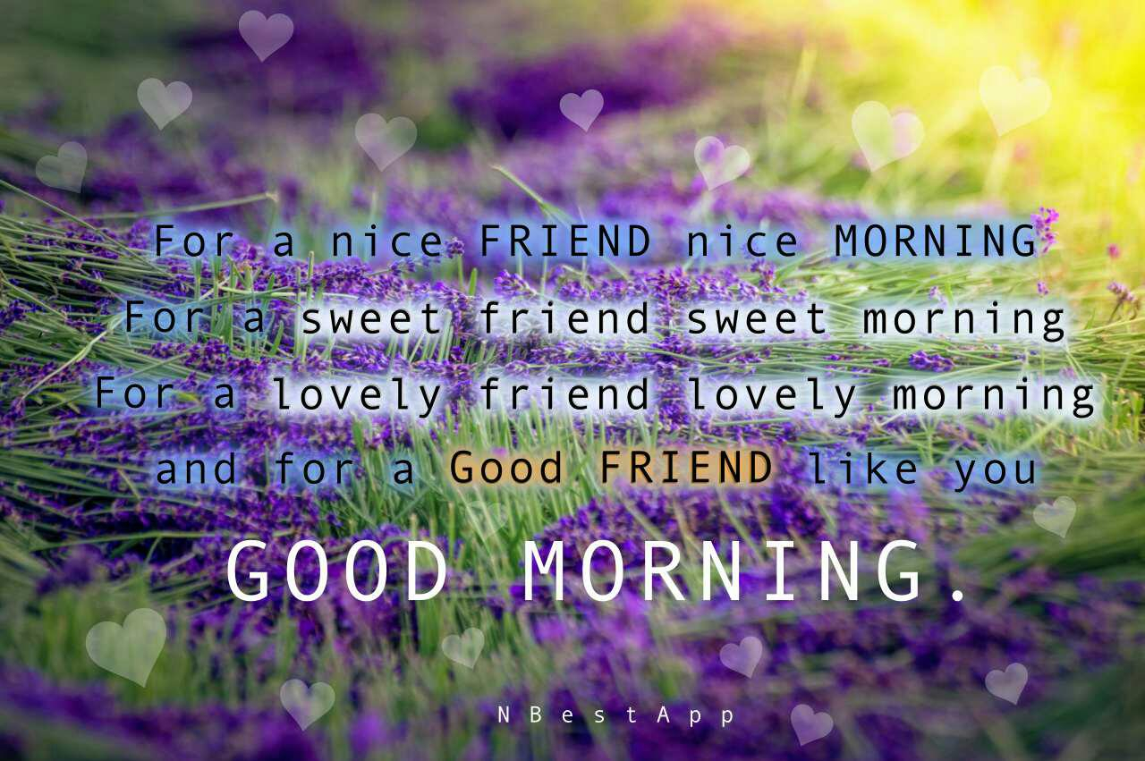 Sweet Good Morning Quotes For Friends Good Morning - Viola - HD Wallpaper 