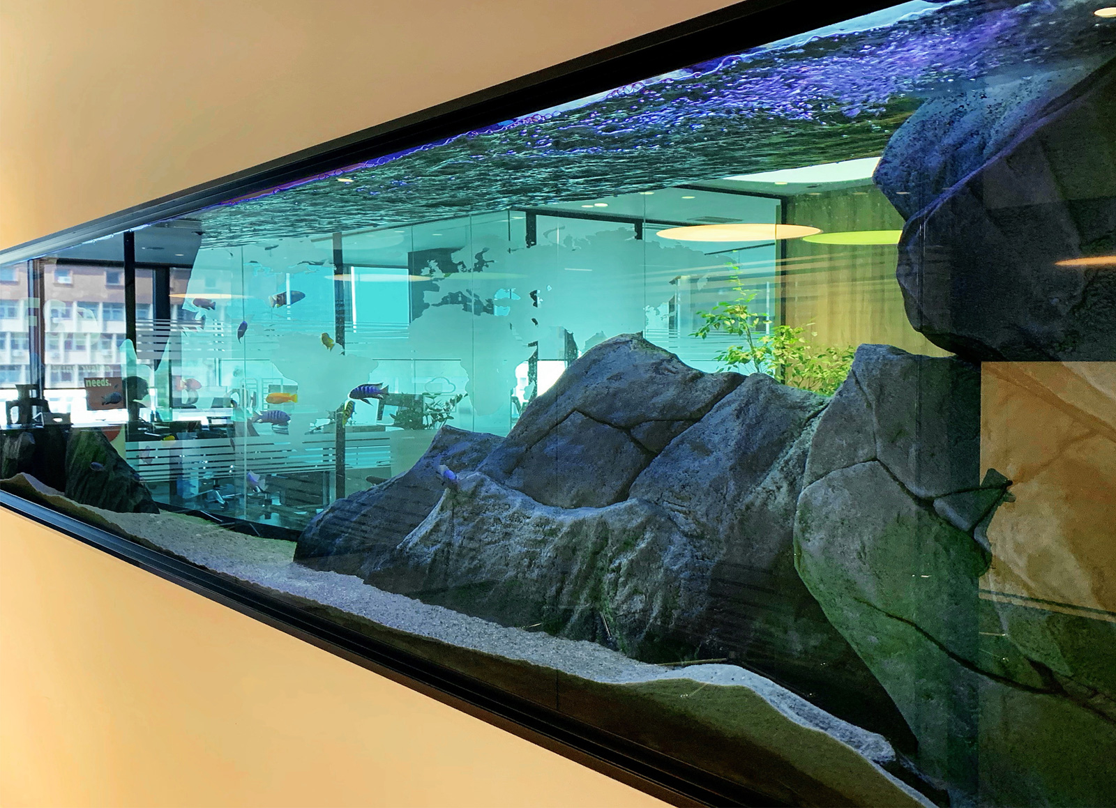 Image Failed To Load - Aquarium - HD Wallpaper 