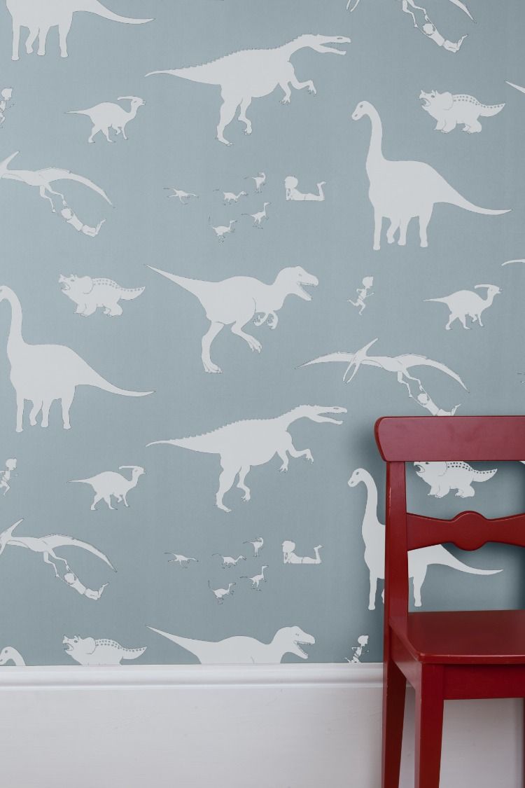 Dinosaur Wallpaper For Walls - HD Wallpaper 