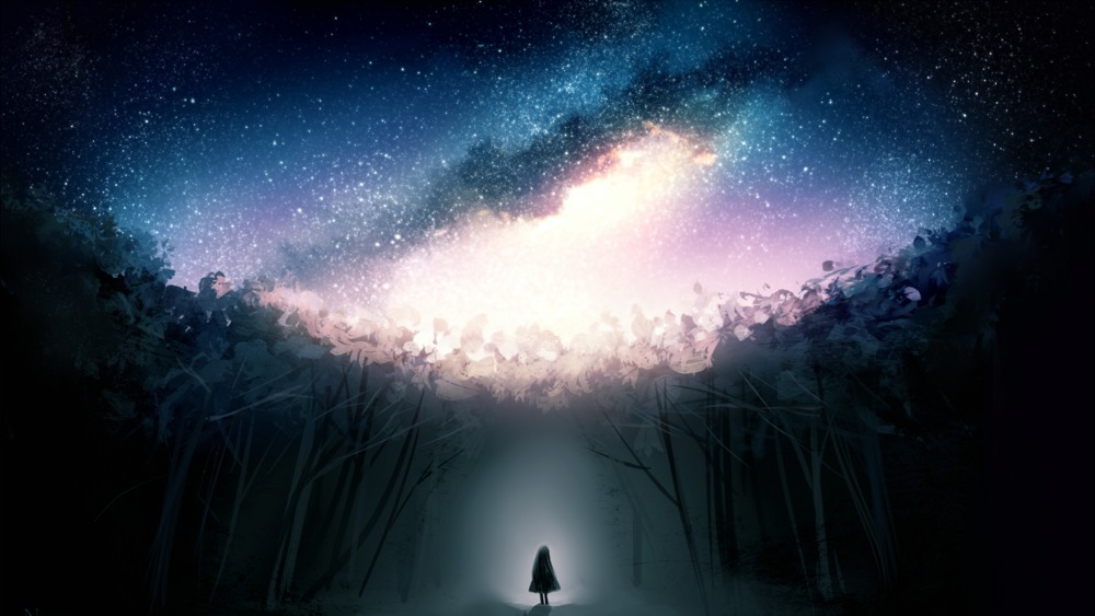 Wallpaper Related To Love - HD Wallpaper 