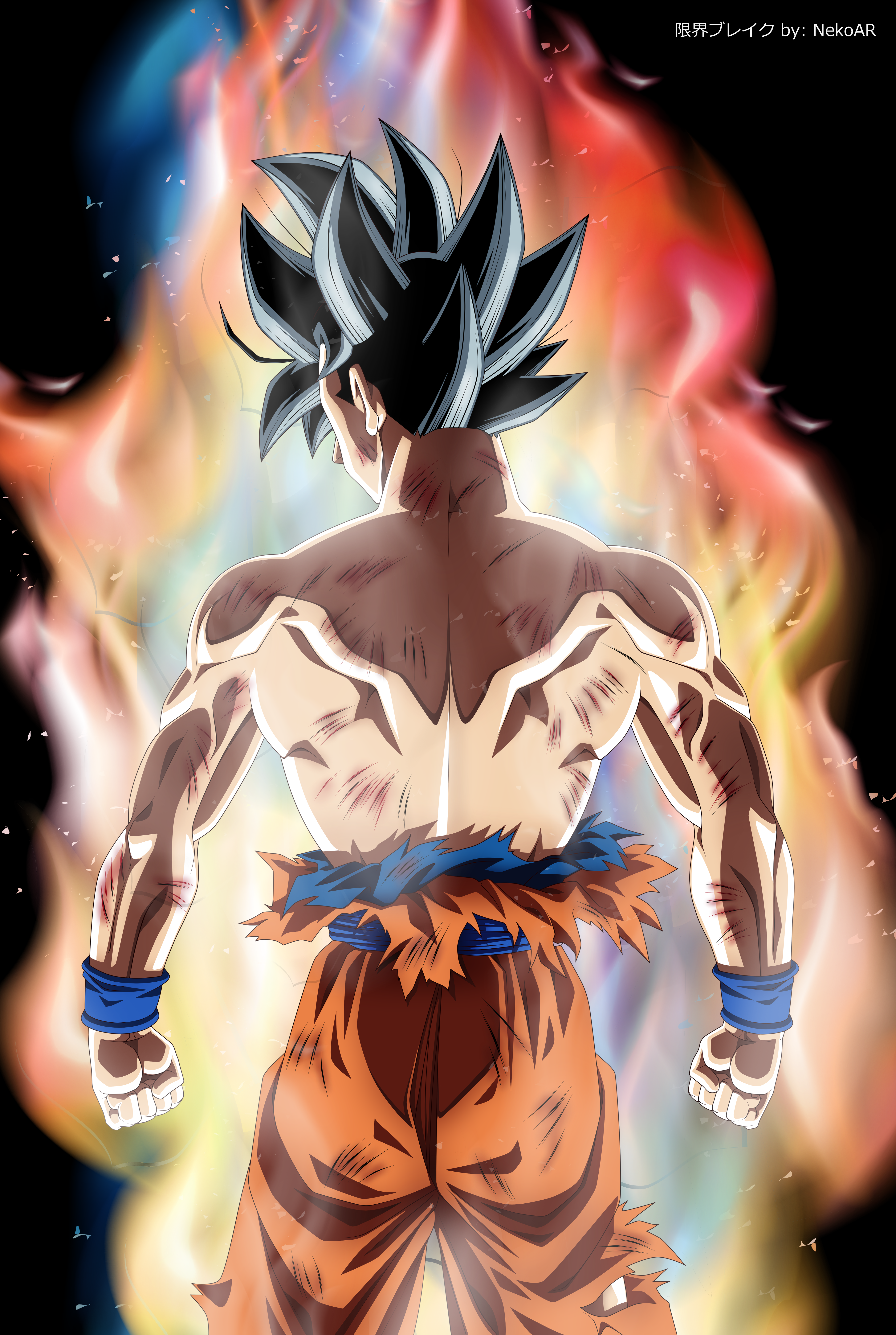 Dragon Ball Super Wallpaper Android 4700x7000 Wallpaper Teahub Io
