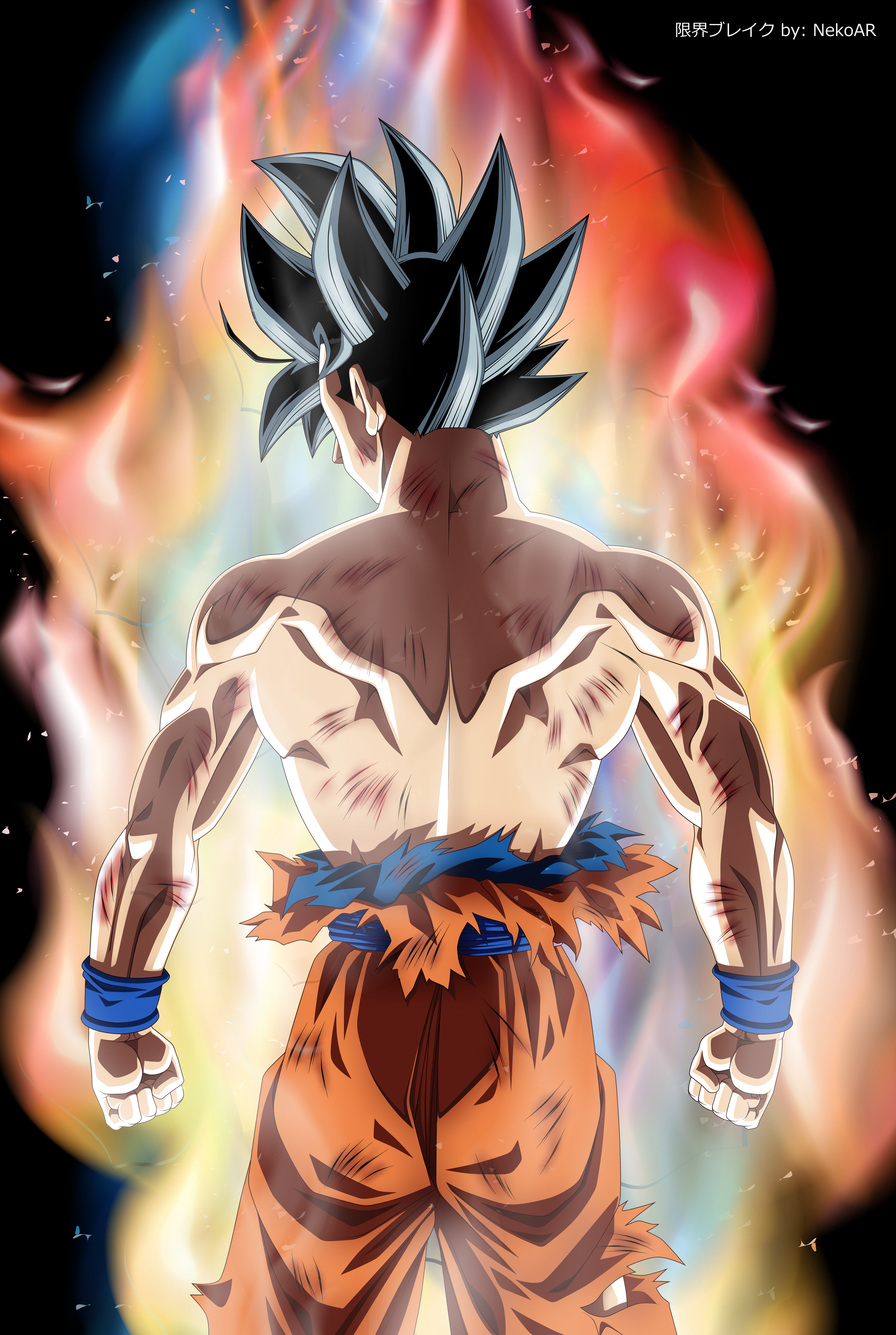 Dragon Ball Super Wallpaper Android - HD Wallpaper 