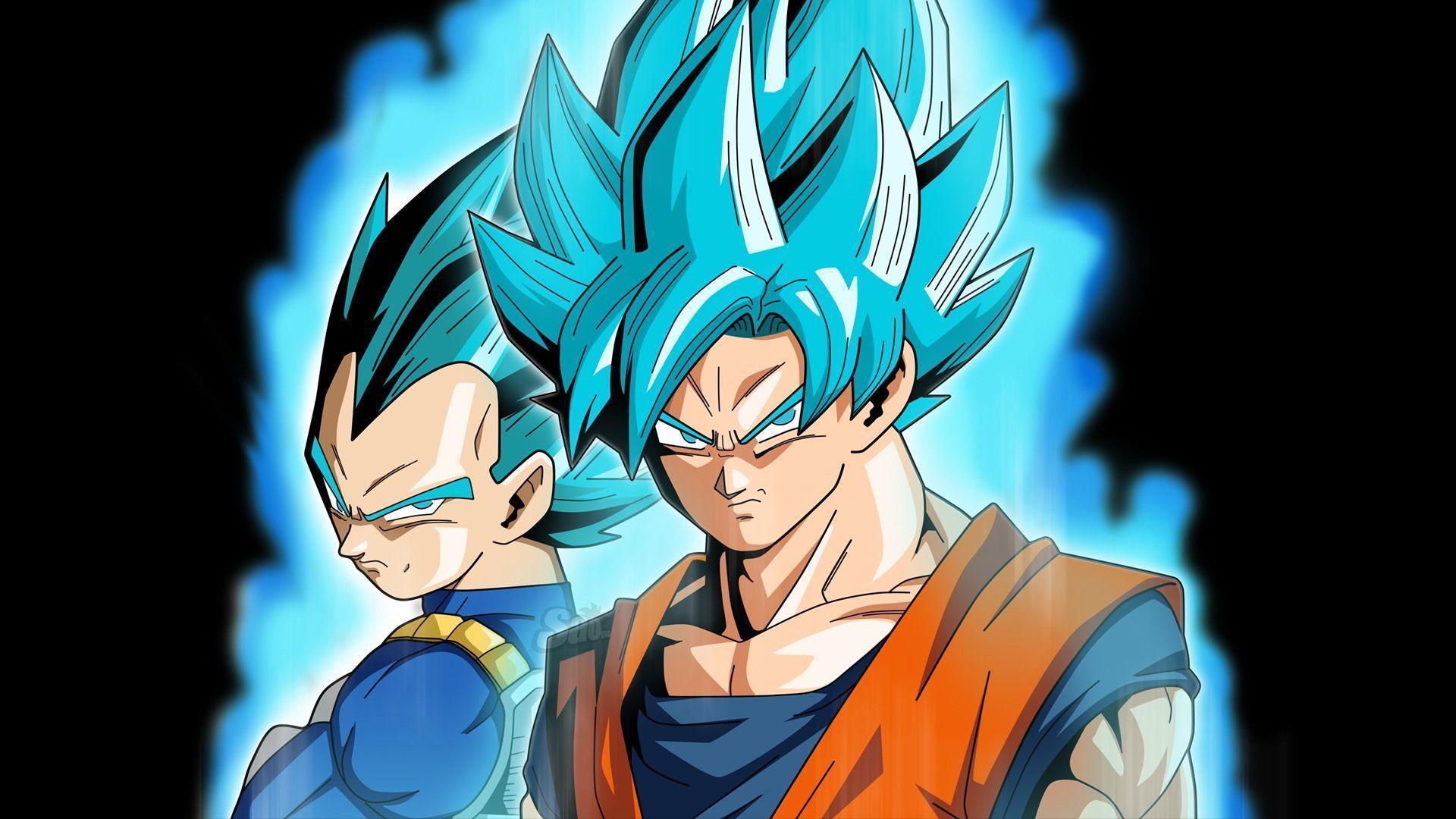 Dbz Vegeta Wallpaper Hd - Goku And Vegeta Blue - HD Wallpaper 