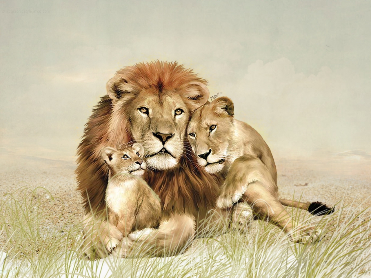 Lion Lioness And Cub - HD Wallpaper 