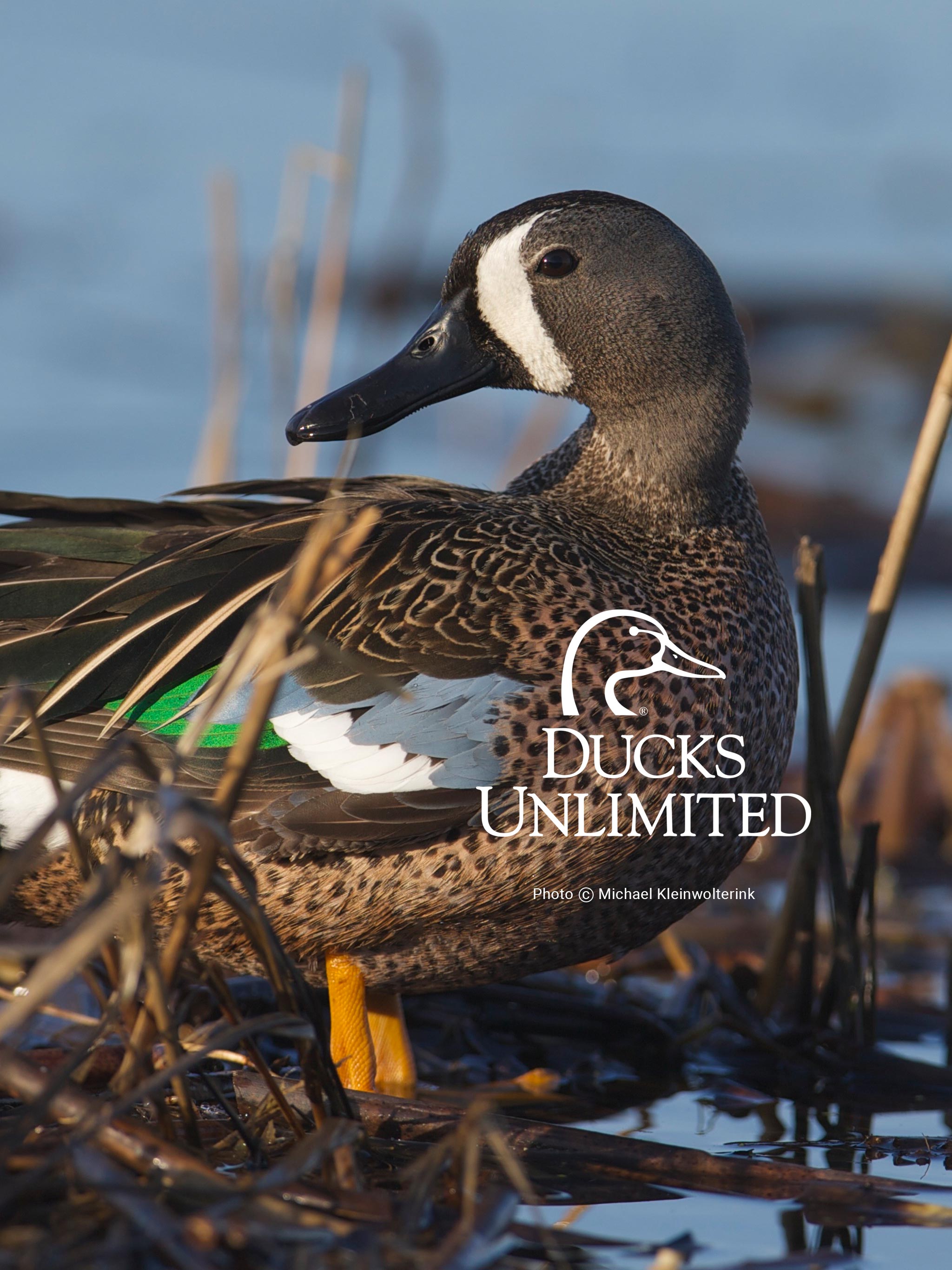 Goose Hunting Wallpaper - Duck Hunting Wallpaper For Iphone - 2048x2732 Wallpaper Goose Hunting Wallpaper - Duck Hunting Wallpaper For Iphone - 2048x2732 Wallpaper