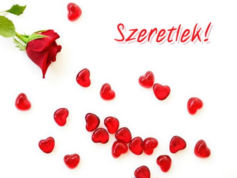 Flowers Valentine Heart Rose Red Love Flower 3d Wallpaper - Wide Vga - HD Wallpaper 