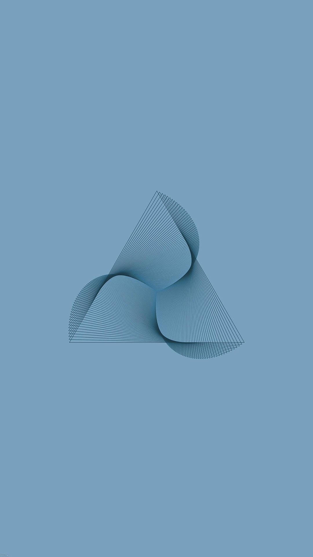 Cockle - HD Wallpaper 