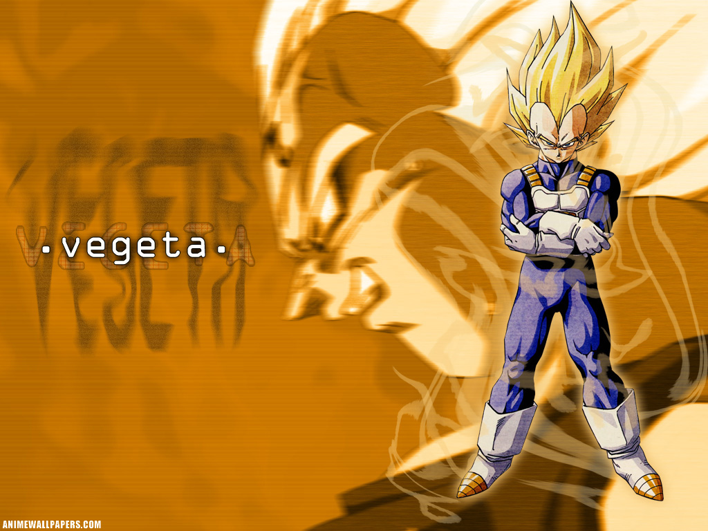 Vegeta - Dragon Ball Z Vegeta - HD Wallpaper 