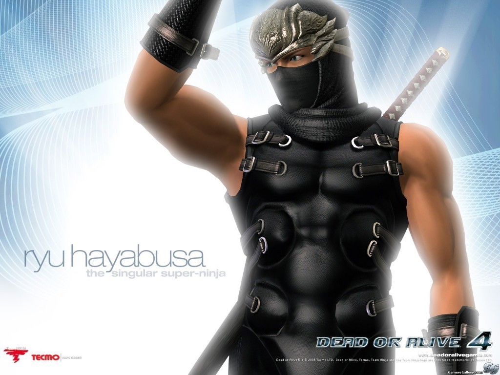 Ryu Hayabusa Wallpaper - Dead Or Alive 4 Ninja - HD Wallpaper 