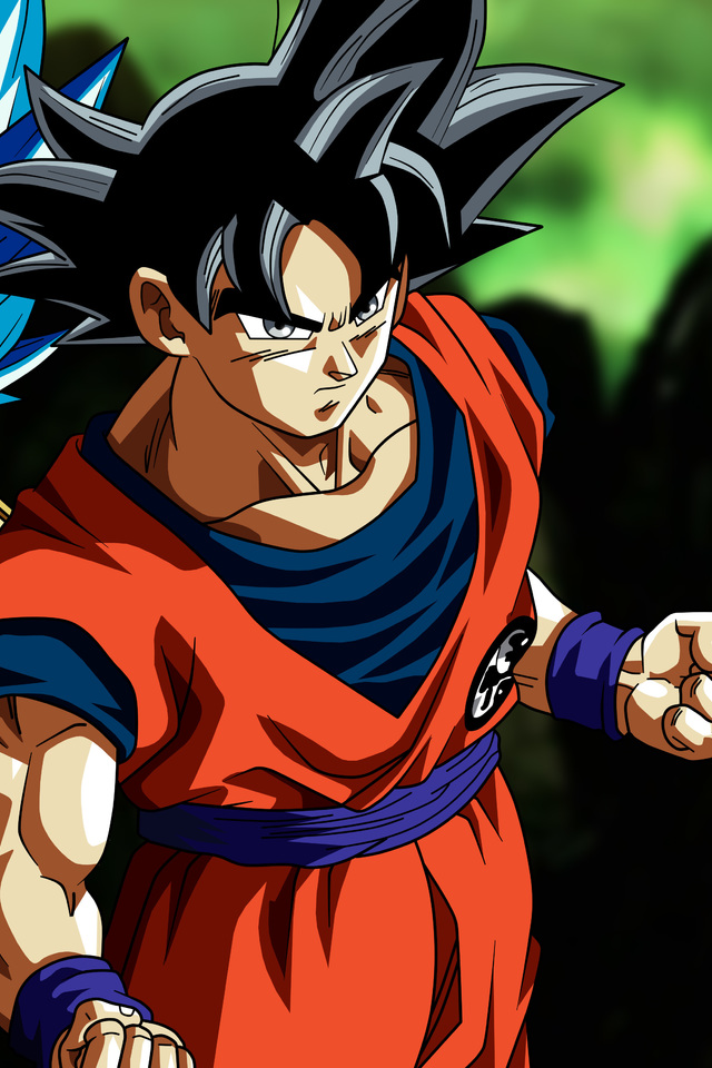 Son Goku Vegeta In Dragon Ball Super K T X Pic Hwb215477 - Dragon Ball - HD Wallpaper 