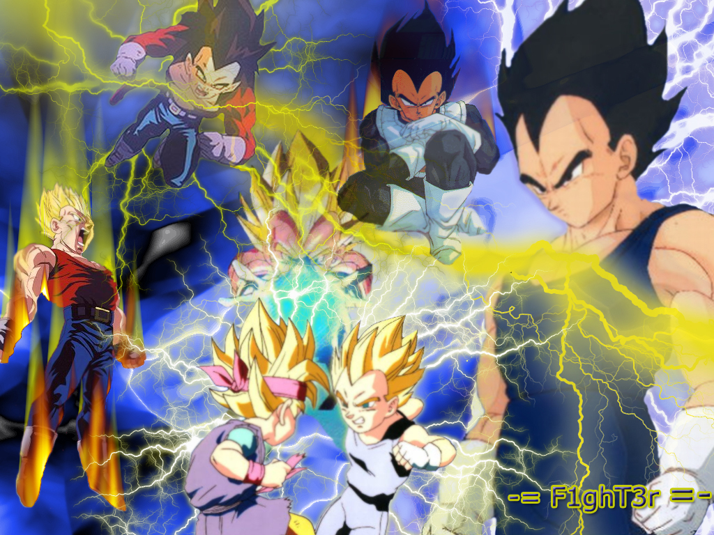 Thunder Vegeta Dragon Ball Z Wallpaper 11393320 Fanpop - Vegeta Dragon Ball Z Goku Super Saiyan - HD Wallpaper 