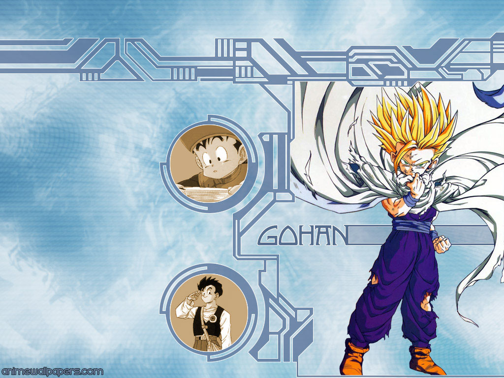 Dragon Ball Z Gohan Wallpaper - HD Wallpaper 