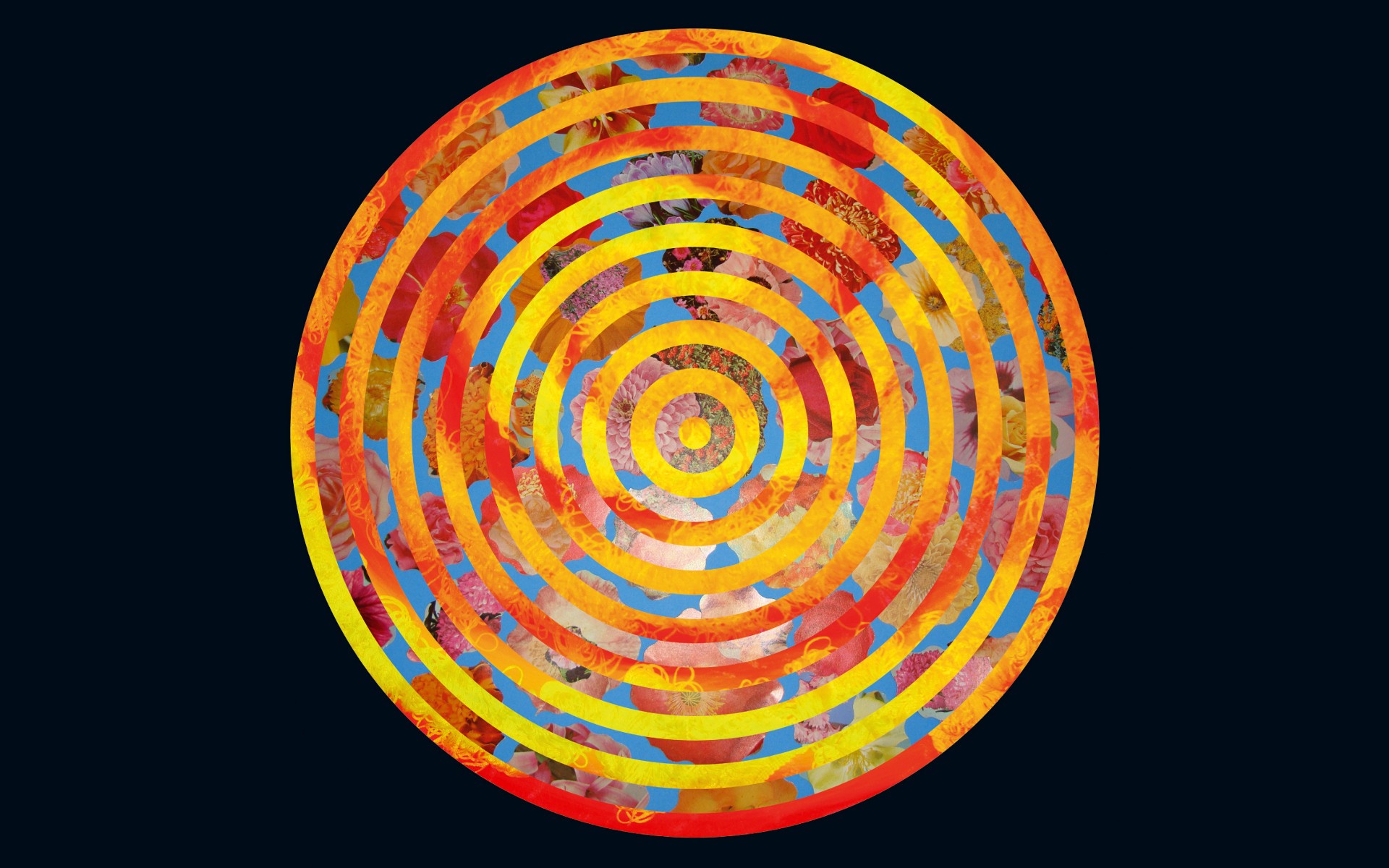 Caribou Swim - HD Wallpaper 