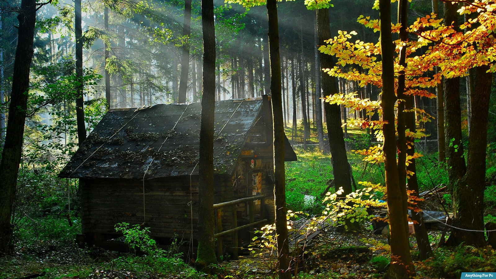 Pack Of 3 Hut In Forest 1080p Hd Wallpapers - Home In Forest - HD Wallpaper 