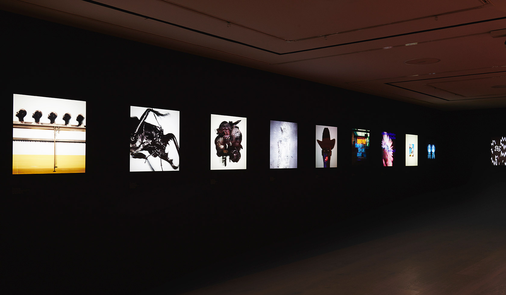 Art Gallery - HD Wallpaper 