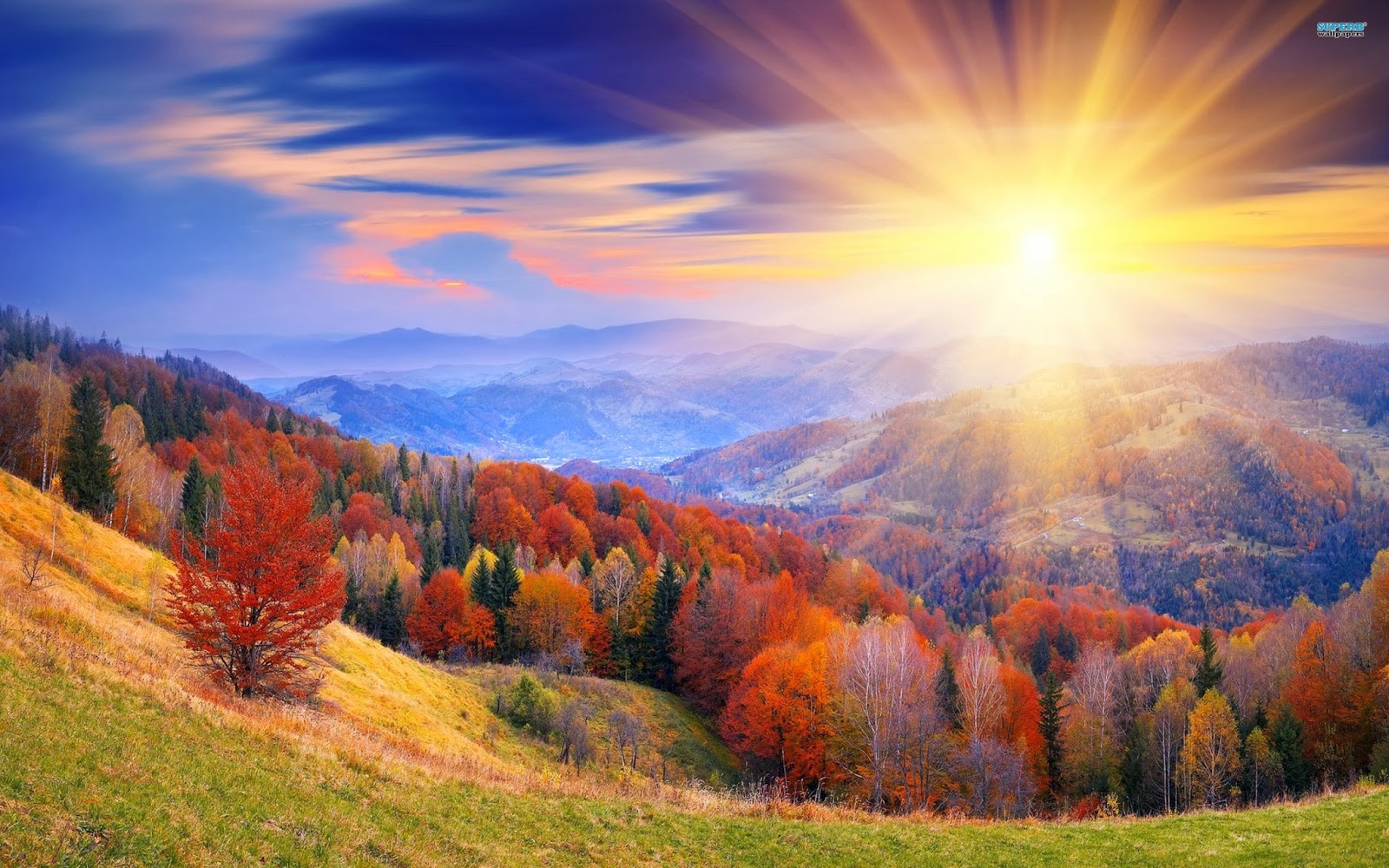 Sunrise Wallpapers - Background Html Full Screen - 1600x1000 Wallpaper