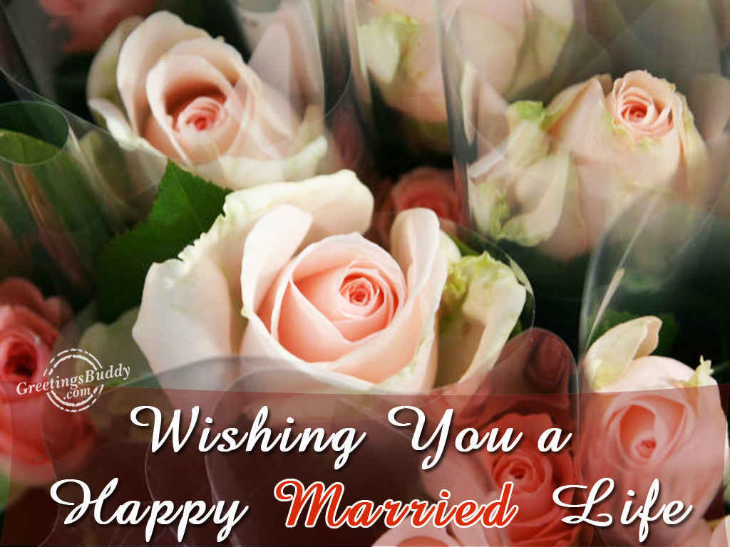 Wishing You A Happy Happy Married Life Wishes Images - Garden Roses -  1024x768 Wallpaper 