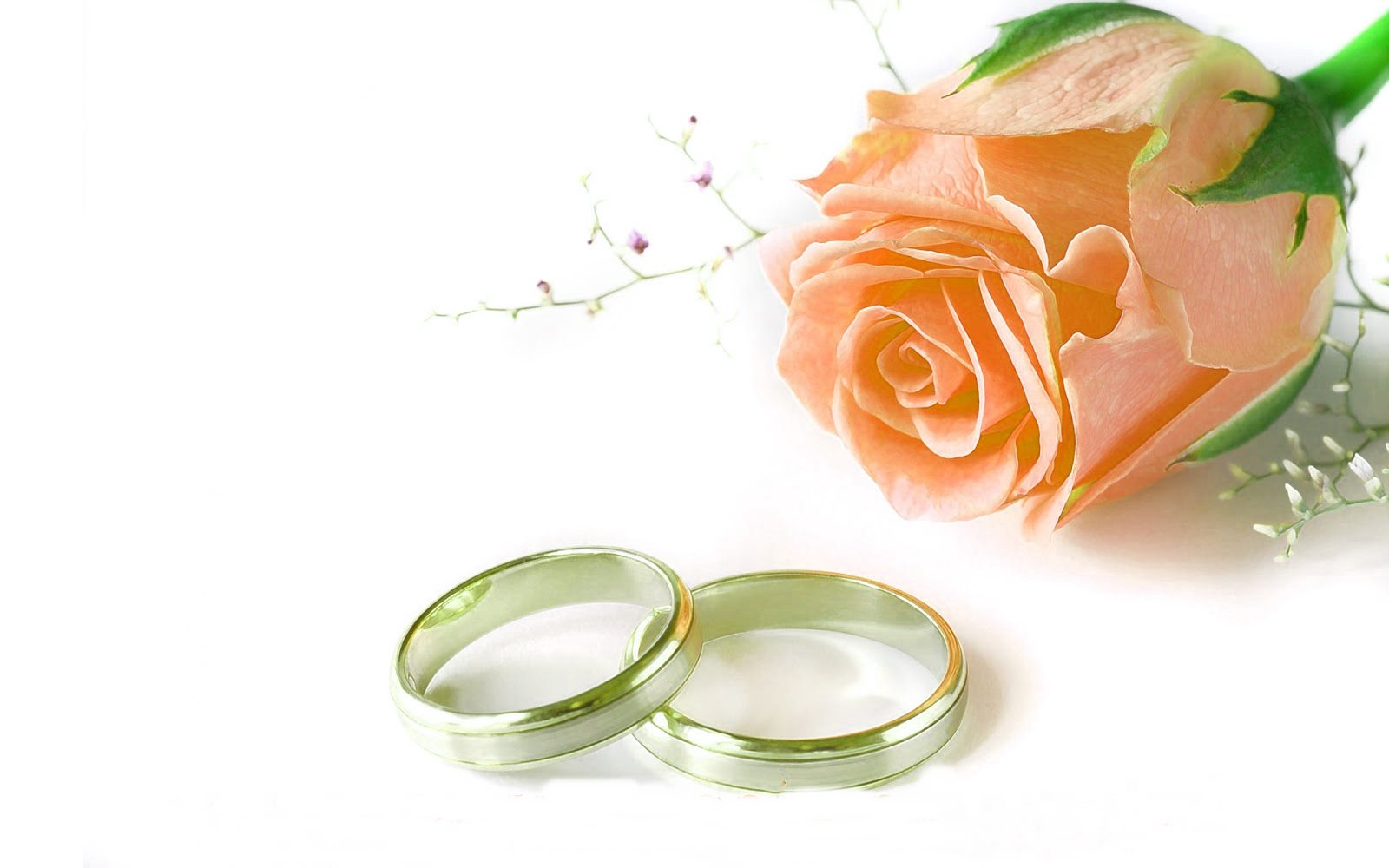 Wedding Bouquet And Rings - HD Wallpaper 