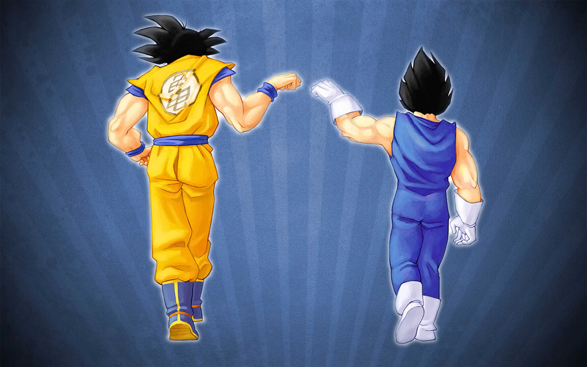 Goku Dragon Ball Z Pictures - Son Goku Und Vegeta Brüder - HD Wallpaper 