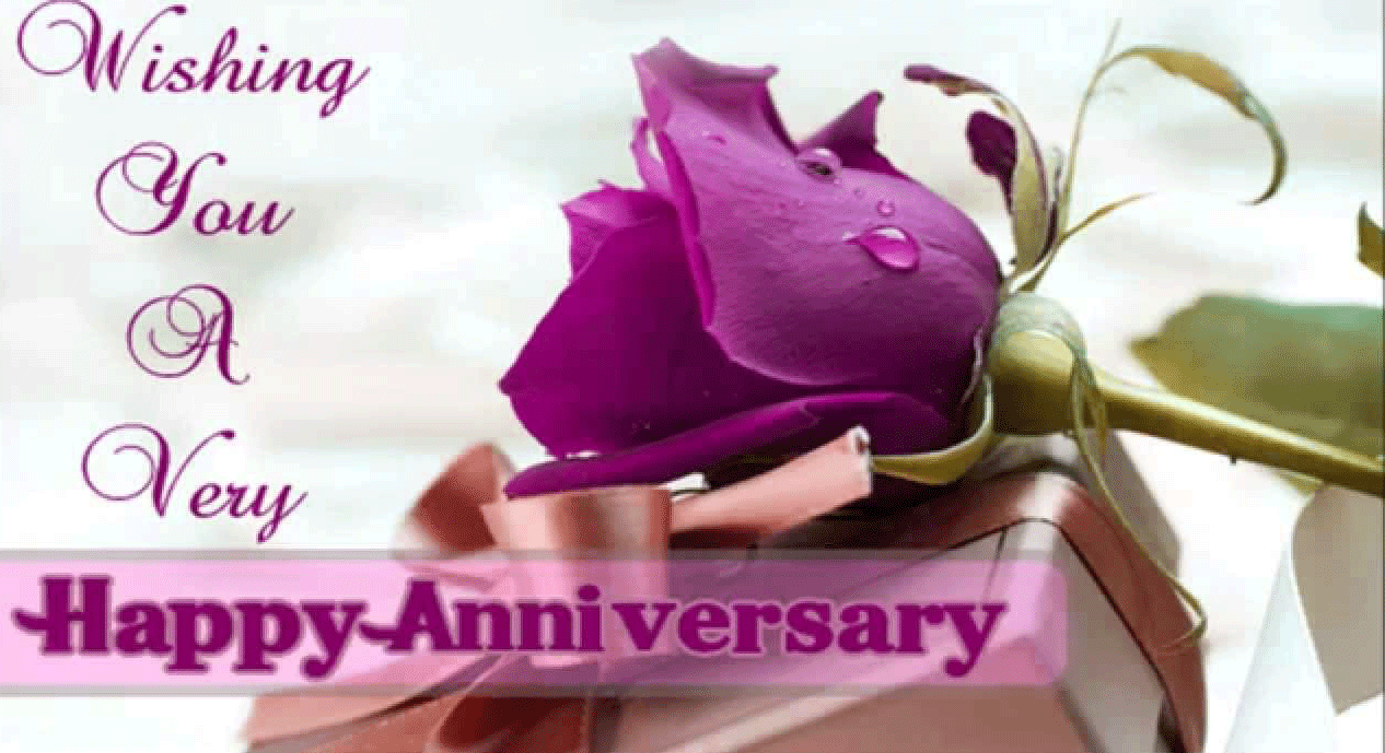 Happy Anniversary With Red Roses - 1266x689 Wallpaper - teahub.io