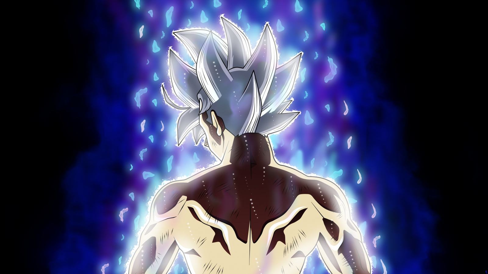 Goku, Back, Dragon Ball Super, Wallpaper - Goku Ultra Instinct Back - HD Wallpaper 