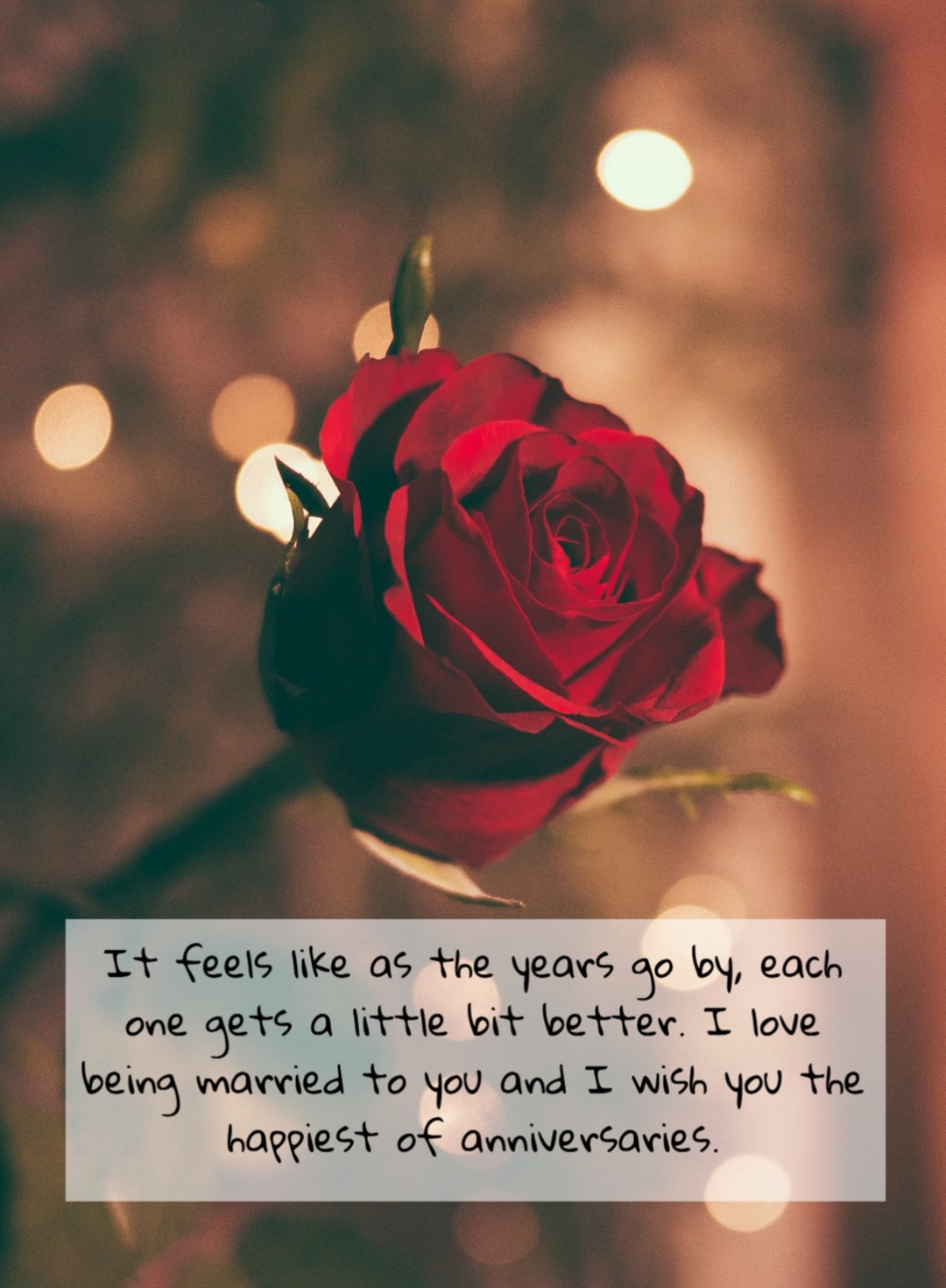 Wedding Anniversary Images Download - Red Rose - HD Wallpaper 