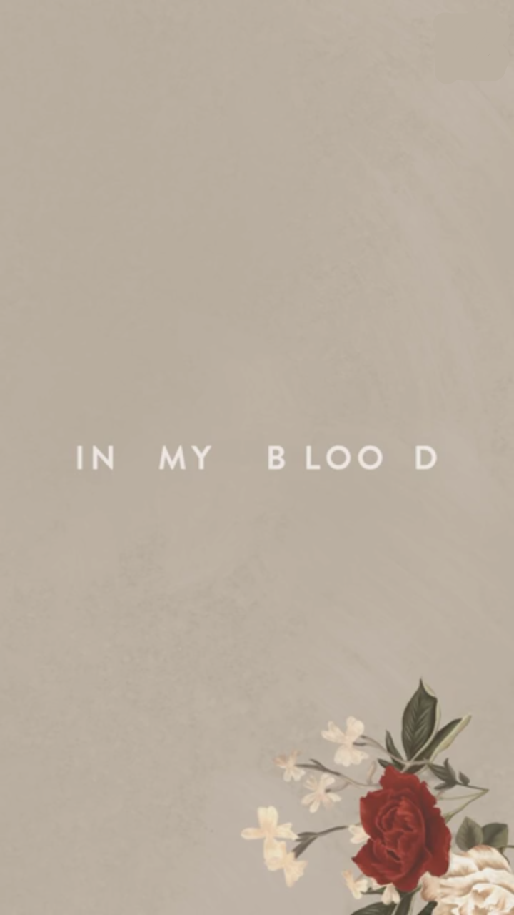 New Song😚❤💗 - My Blood Shawn Mendes - HD Wallpaper 