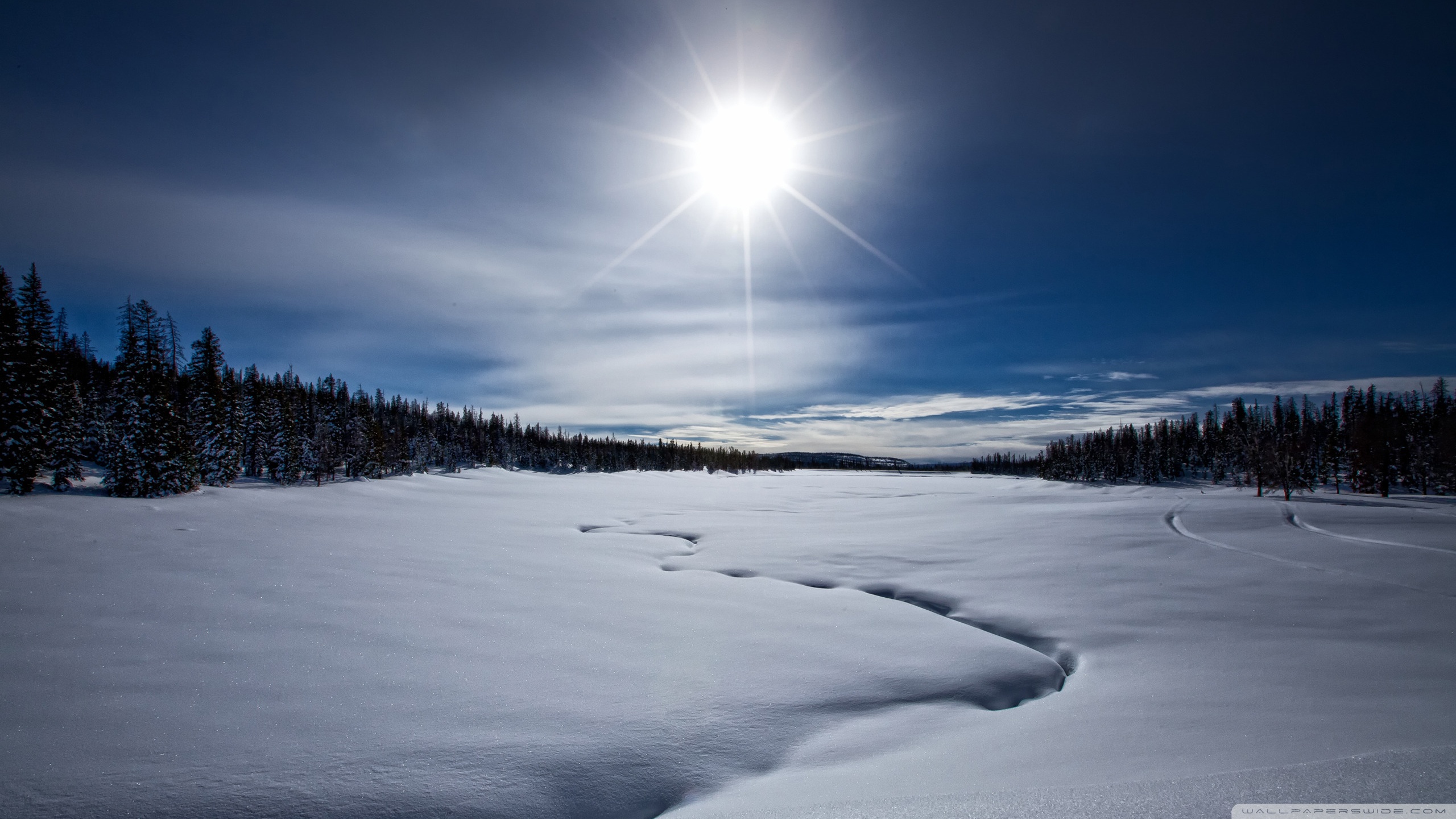 1440p - HD Wallpaper 