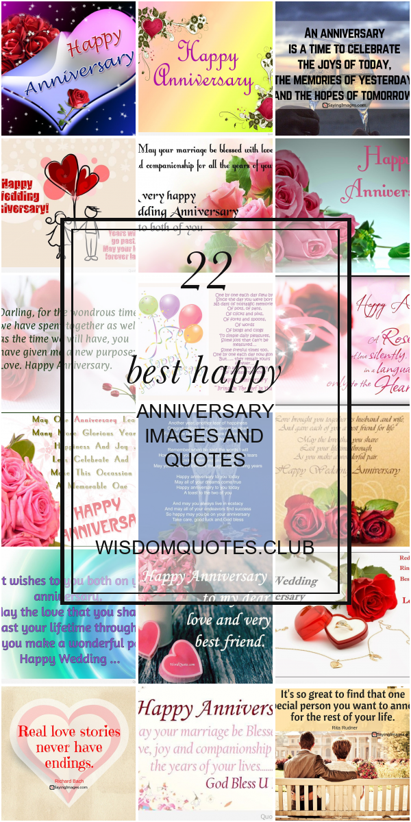 Garden Roses - HD Wallpaper 