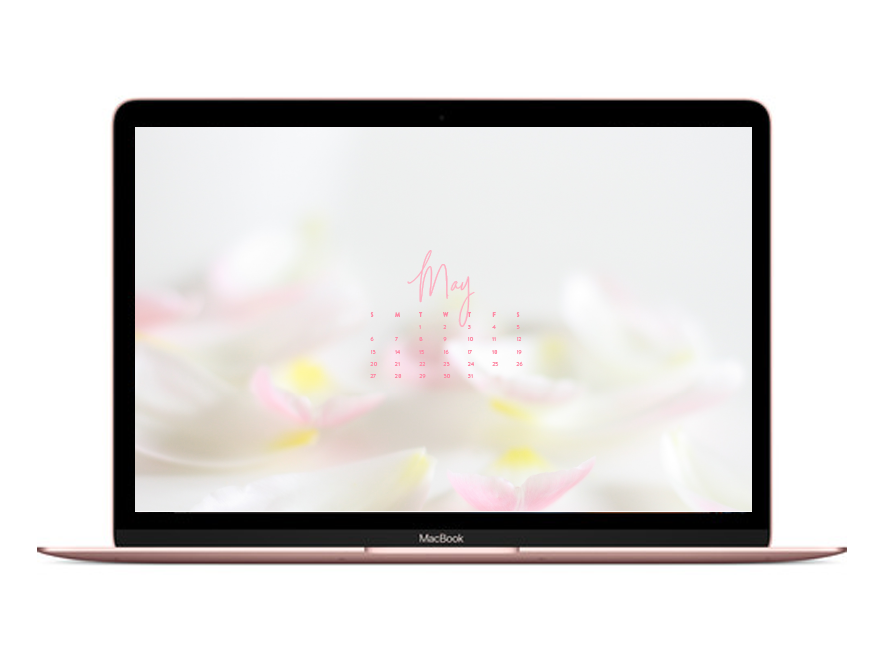 May Calendar Wallpapers For Your Devices - Led-backlit Lcd Display - HD Wallpaper 