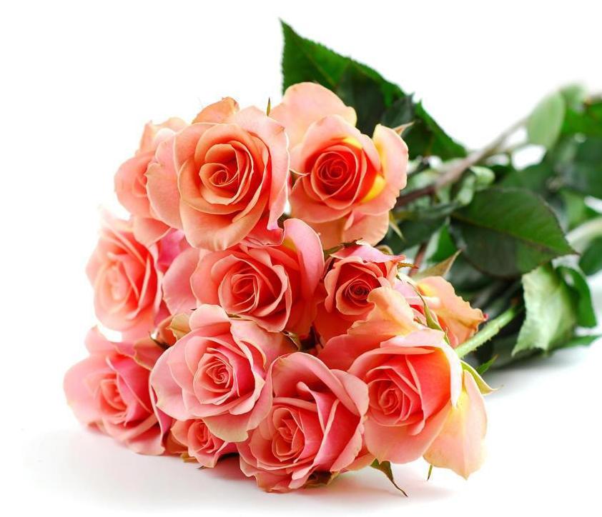 Happy Wedding Anniversary Flowers 842x724 Wallpaper teahub.io