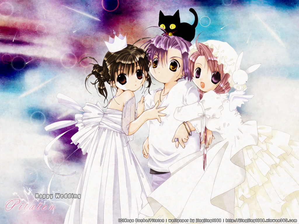 Koge Donbo, Pita Ten, Misha , Shia, Nya Wallpaper 
	style - Pita Ten - HD Wallpaper 