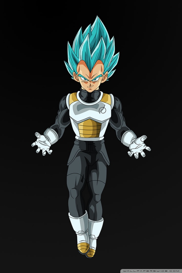 Mobile Compatible - Vegeta Wallpaper - 1440p Phone Wallpaper Anime - HD Wallpaper 