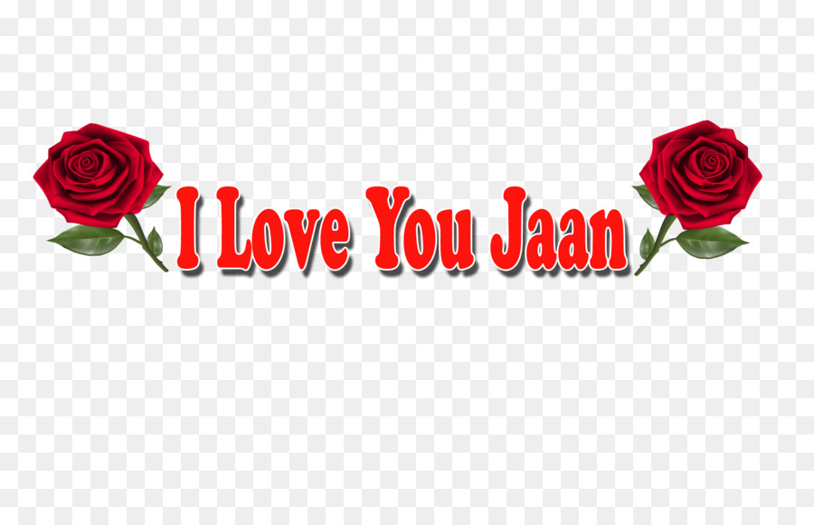 Garden Roses - HD Wallpaper 