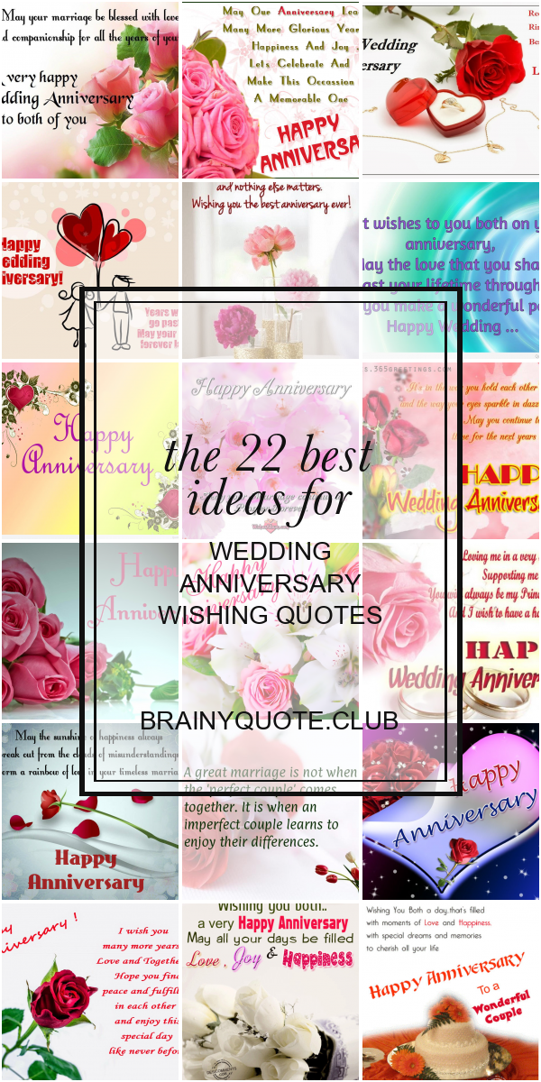 Garden Roses - HD Wallpaper 