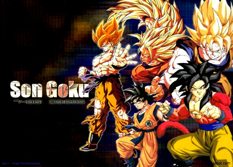 Dragon Ball Z Son Goku Evolution Wallpaper Hd 4474 - Dragon Ball Z Wallpapers Goku All Super Saiyans - HD Wallpaper 