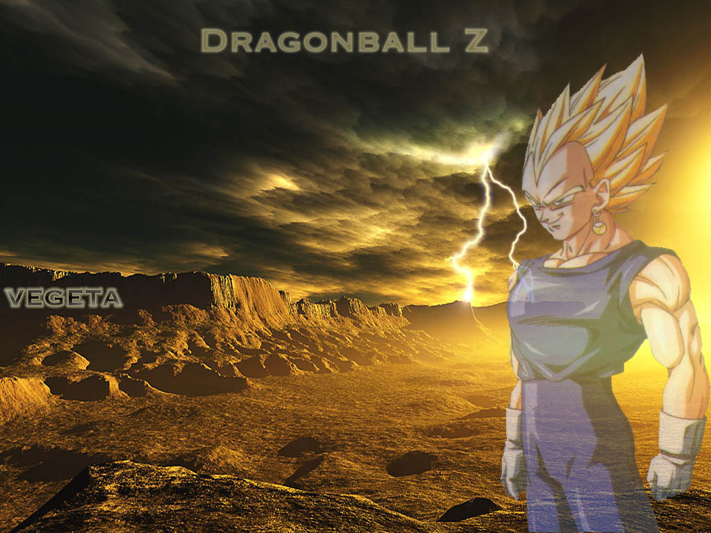 Vegeta - HD Wallpaper 