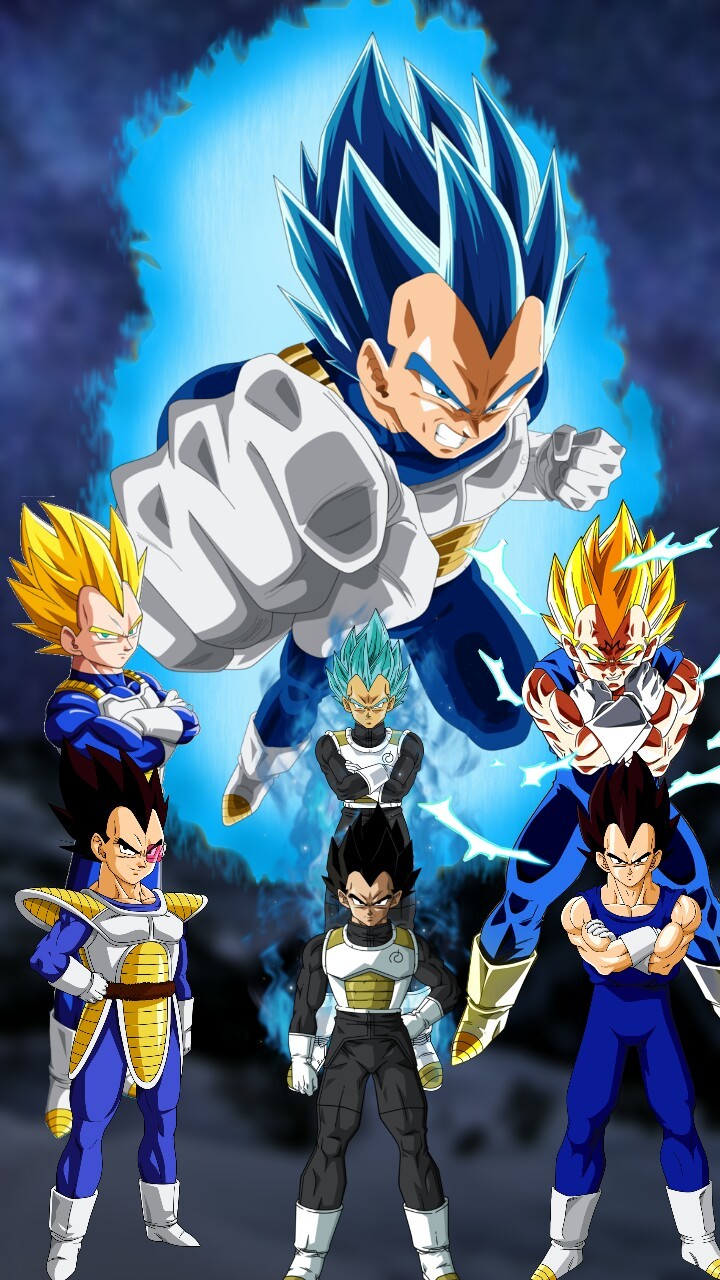 All The Changes Of Vegeta Along Dragon Ball Z - Fondo De Pantalla Vegeta - HD Wallpaper 