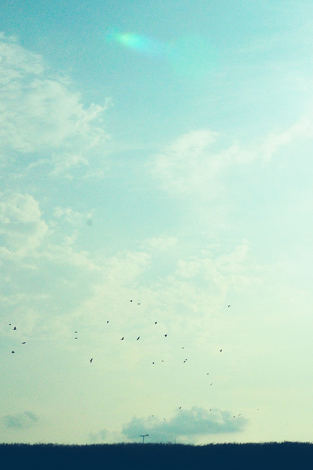 Pure Clean Sky Iphone 4s Wallpaper - Flock - HD Wallpaper 