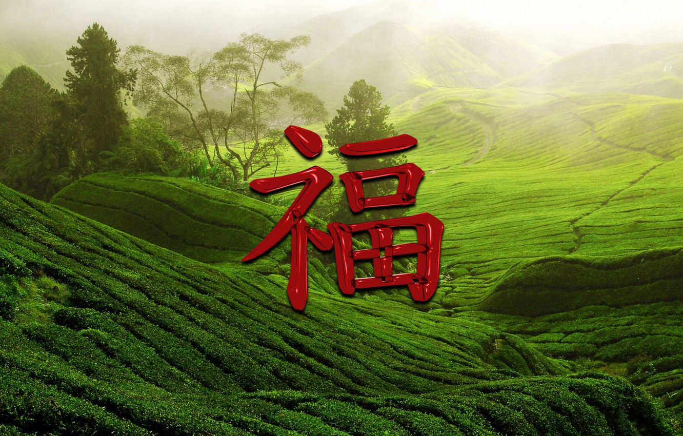 Photo Wallpaper Happiness, Symbol, Character, Chinese, - Paddy Fields In Wayanad - HD Wallpaper 