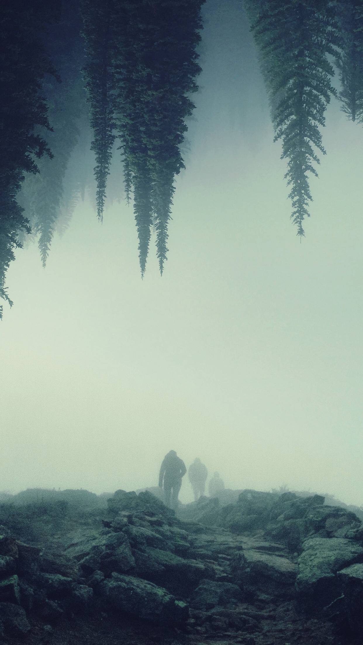 Quote Bevrijd - HD Wallpaper 