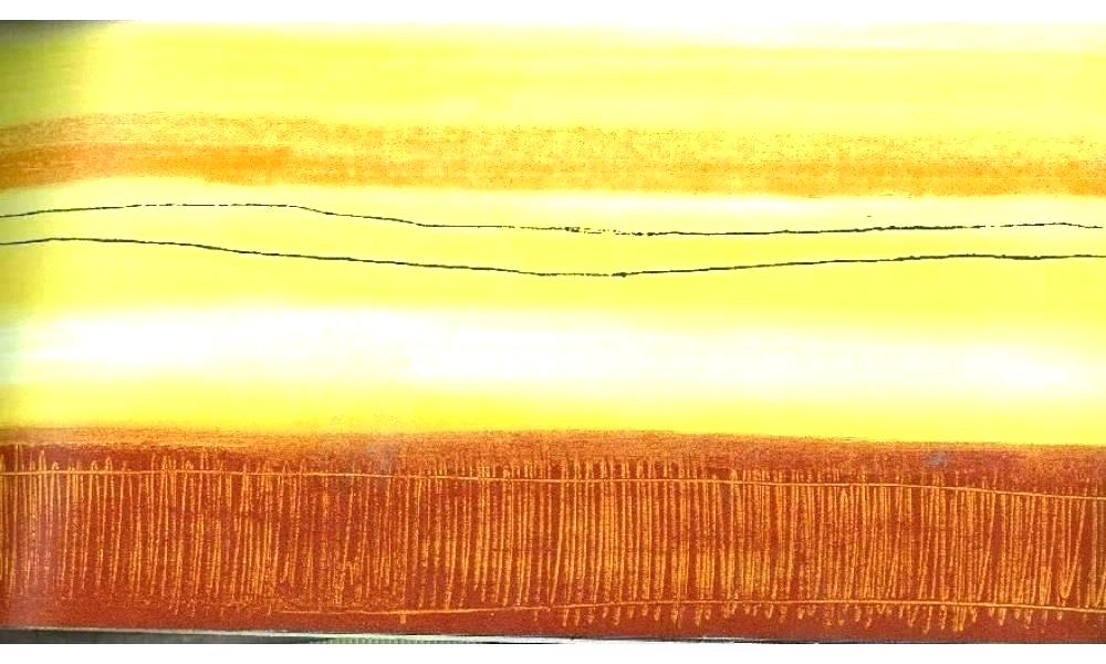 Yellow Wallpaper Border Roses Wall Cabbage Rose Plain - HD Wallpaper 