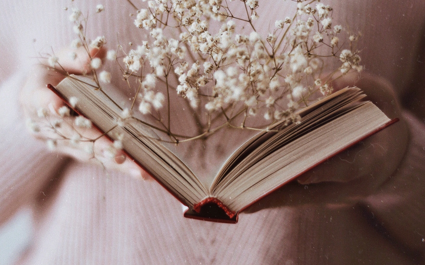 Wallpaper Book, Branch, Flowers, White, Open - Open Diary - HD Wallpaper 
