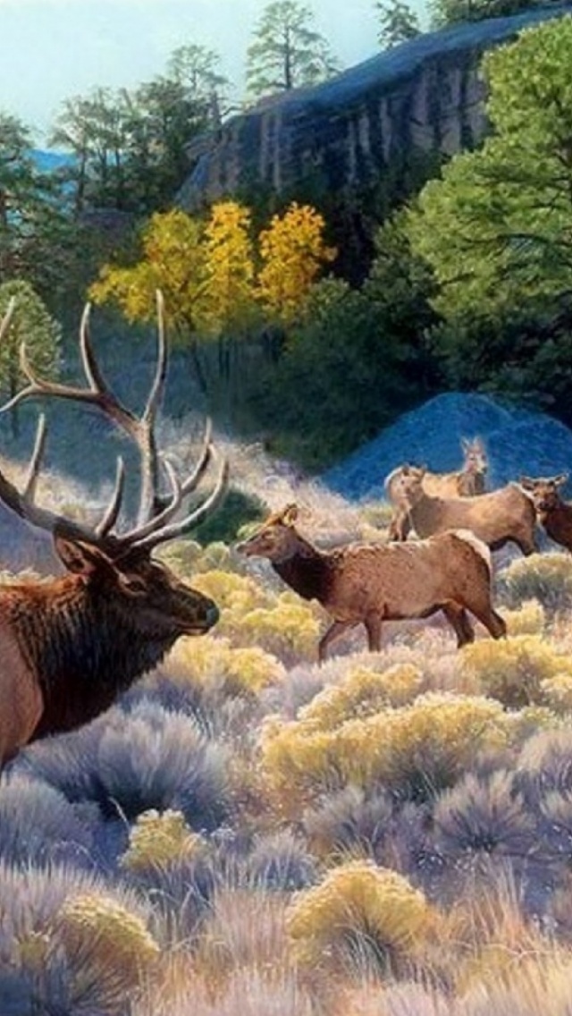 Caribou Iphone - HD Wallpaper 