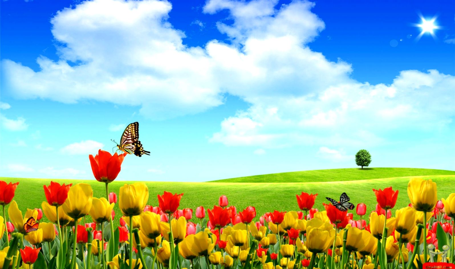 3d Red Yellow Roses Nature Wallpaper - Flower With Butterfly Background Hd  - 1596x945 Wallpaper 